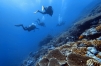 SEVERNÍ EGYPT + DAHAB
